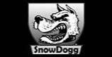 SnowDogg Snow Plow